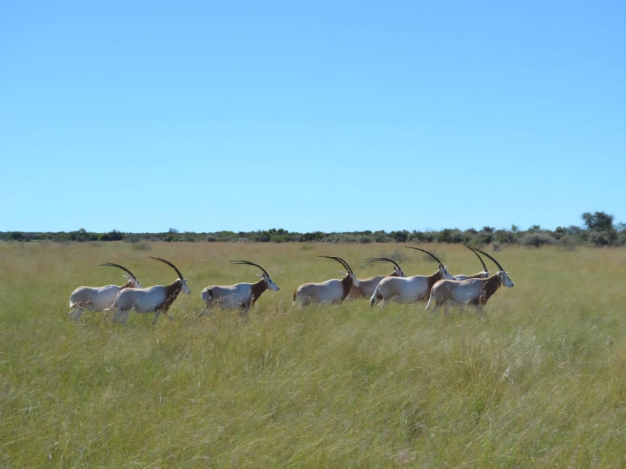 4 Bedroom Property for Sale in Kimberley Rural Northern Cape